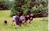 cliquez ici pour voir l'image (S2002-p.jpg)