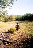 cliquez ici pour voir l'image (Cs2003_D.JPG)