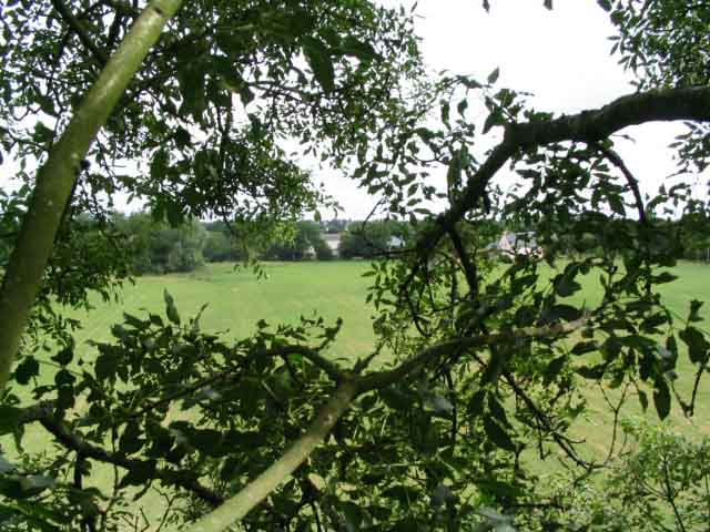 cs2004_0001