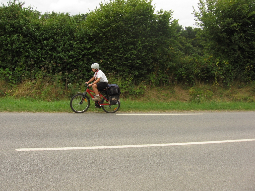cs2008 190