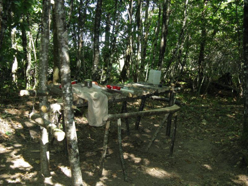 cs2009 022