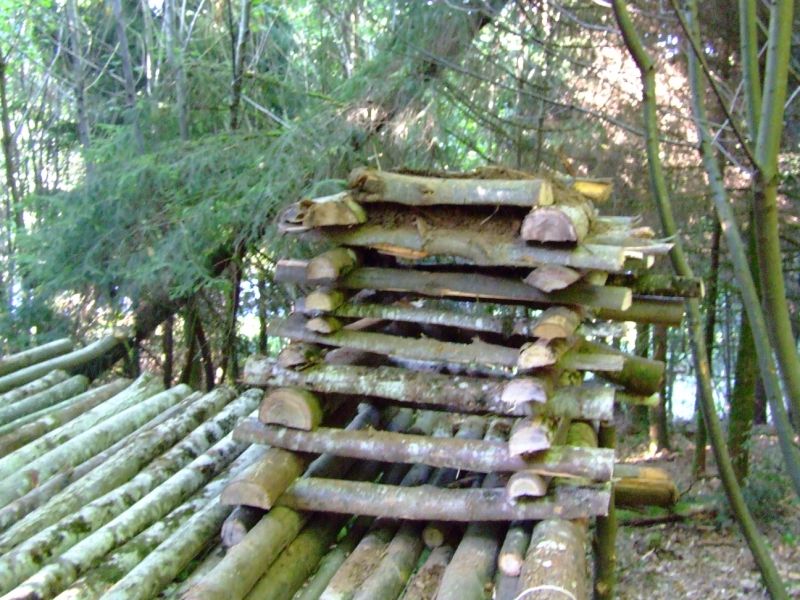 cs2009 032