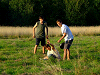 Cliquez ici pour voir l'image (cs2009_036.jpg)