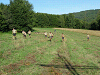 Cliquez ici pour voir l'image (cs2009_045.jpg)