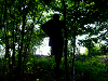 Cliquez ici pour voir l'image (cs2009_079.jpg)