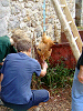 Cliquez ici pour voir l'image (cs2009_104.jpg)