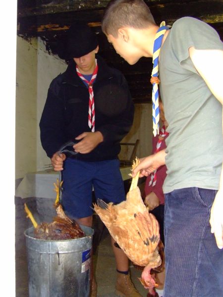 cs2009 105