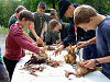 Cliquez ici pour voir l'image (cs2009_106.jpg)