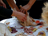 Cliquez ici pour voir l'image (cs2009_111.jpg)