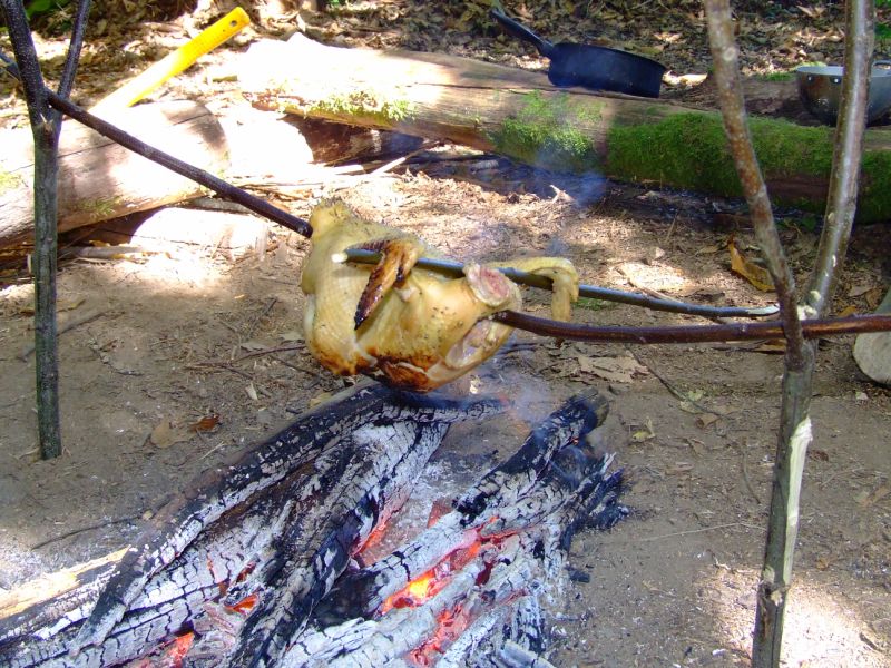 cs2009 115
