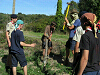 Cliquez ici pour voir l'image (cs2009_139.jpg)