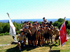 Cliquez ici pour voir l'image (cs2009_192.jpg)