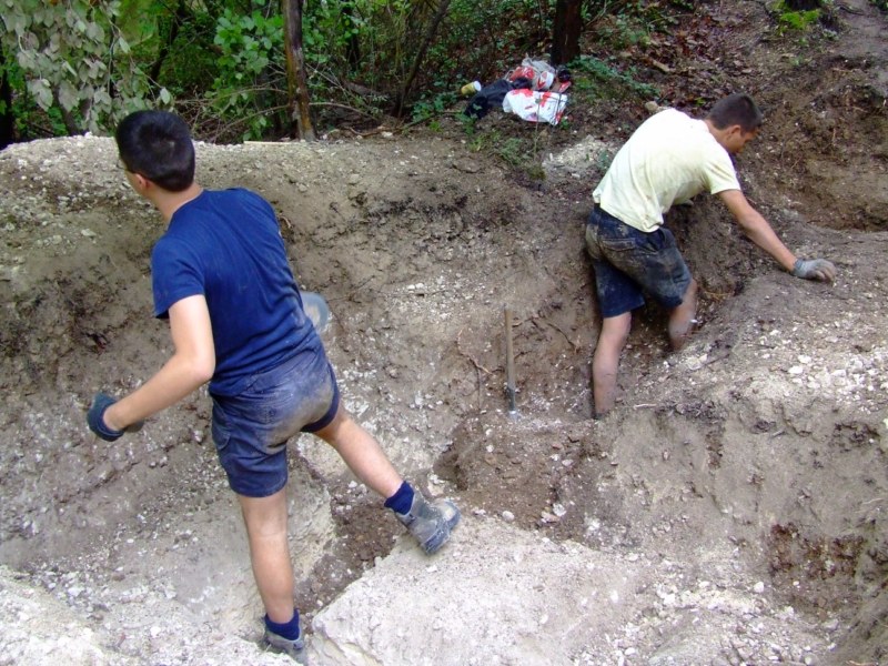 cs2010 022