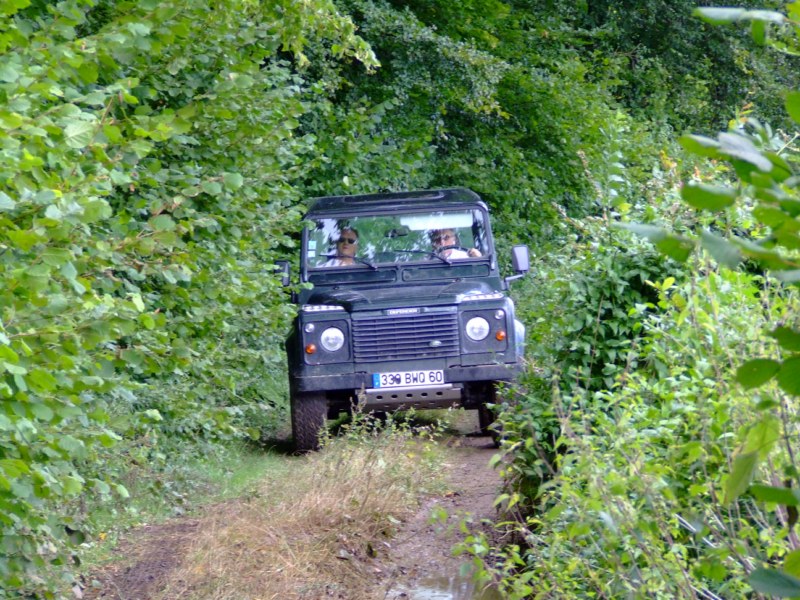 cs2010 240
