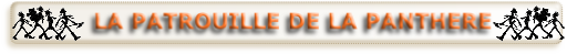 wp0ad087f0.png