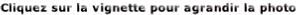 wp3618baae.gif