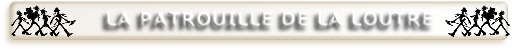 wp56507131.png