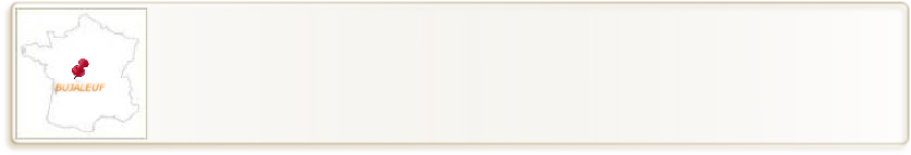 wp56563abf.png