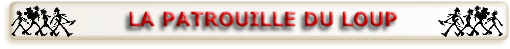wp6d643718.png