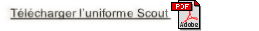 wp71e1c77d.png
