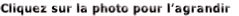 wp8263578b.gif