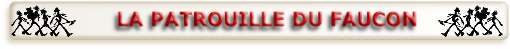 wp9cbfd319.png