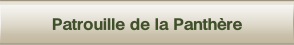 wpe574568c.png